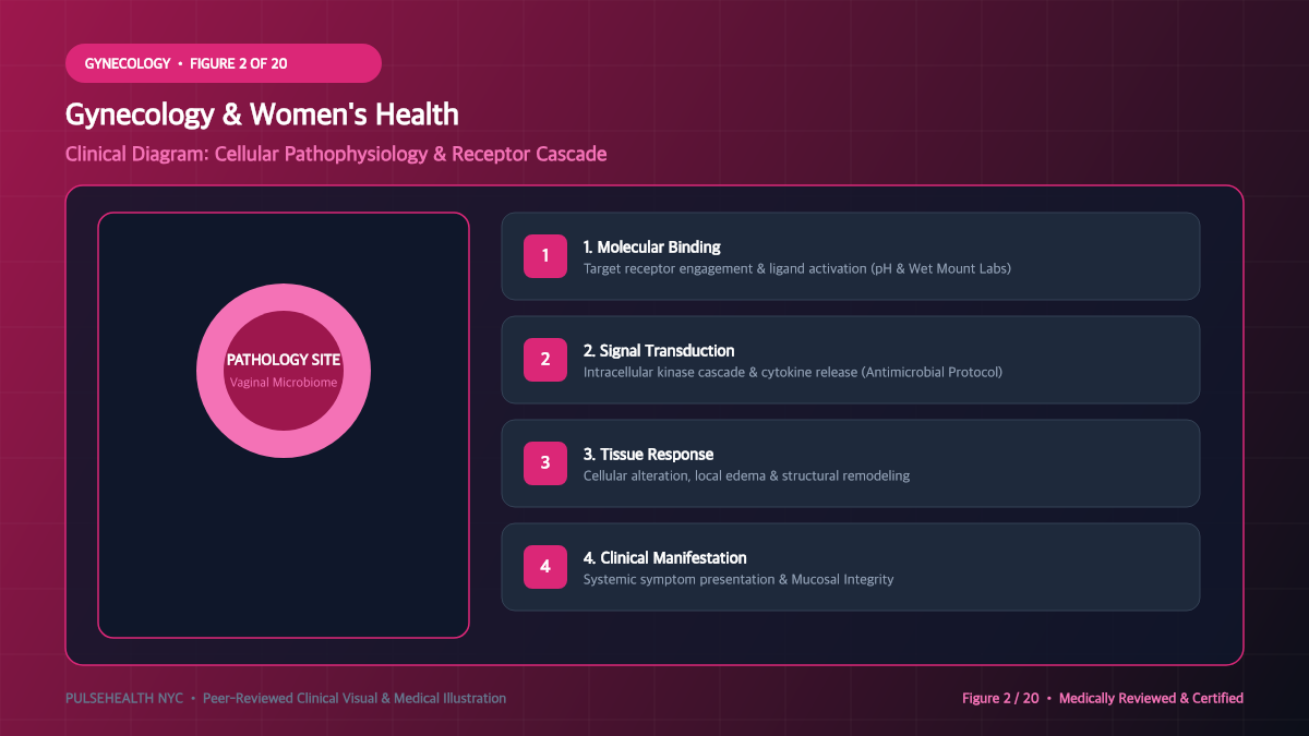 Vaginitis Treatment: Clinical Diagnosis & Antimicrobial Therapeutics - Pathophysiology & Biological Mechanisms Diagram and Clinical Infographic (Figure 2)